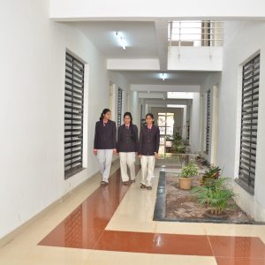 DSC_4253 (2)