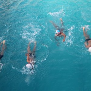 swim2